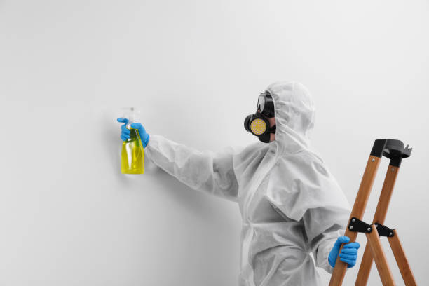 Biohazard Mold Removal in Rogers, TX